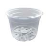 Crystal Clear Plastic Pots - 5"
