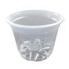 Crystal Clear Plastic Pot - 6"
