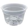 Crystal Clear Plastic Pot - 8"